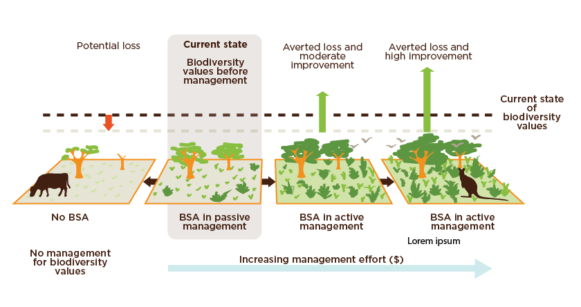 Biodiversity Conservation Fund Charge System | BCT